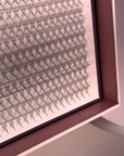 LaviLash 10d promade eyelashes