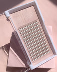LaviLash 10D Premade Lashes in Acrylic Trays