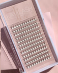 10D Premade Lashes in Acrylic Trays