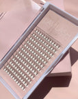 LaviLash Wholesale 10D Premade Lashes in Acrylic Trays