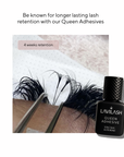 LAVILASH Queen Adhesive