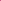 Lash Tiles - Pink
