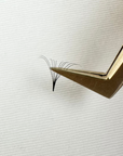 10D Promade Lash Extensions | Deep Black Finish with Feather Light Narrow Base