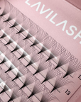 10D Promade Lashes creating deep black, voluminous lash extensions with perfect fan symmetry for professional salon results