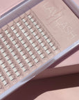 4D Premade Lashes in Acrylic Trays – LaviLash Wholesale
