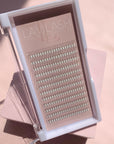 Premade 3D Eyelashes in Acrylic Trays