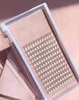 LaviLash 7d lash extensions