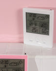digital hygrometer - LaviLash