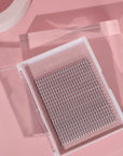 XL 10D Premade Lashes