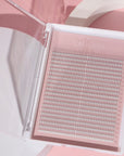 3D Volume Lashes - LaviLash 3D Premade Lashes XL in Acrylic Trays