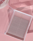 5d lashes