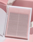 XL 2D Premade Lashes in Acrylic Trays - LaviLash Wholesale