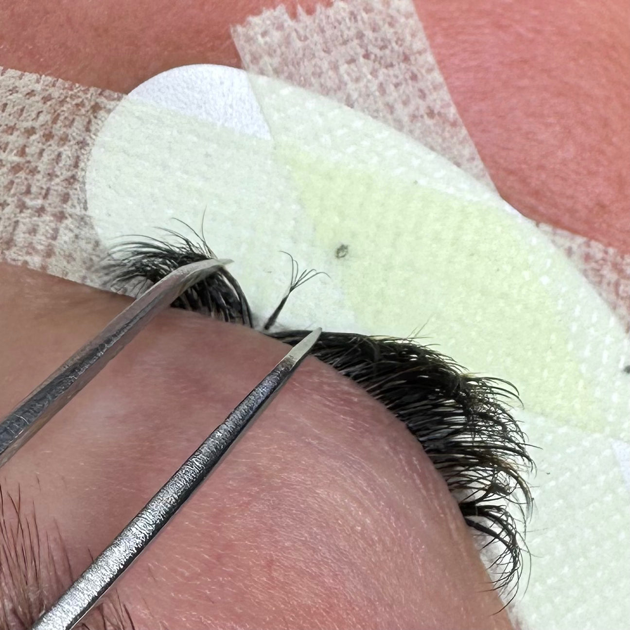 5DW Narrow Clover Lashes