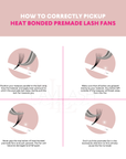 XL 4D Premade Lashes | Acrylic Trays