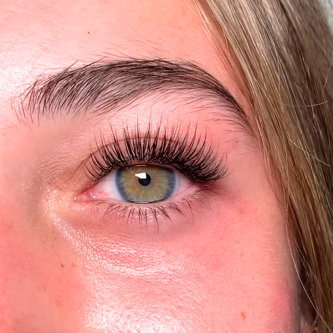 2DU Clover Lashes | Double Classics