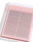 XL 2D Premade Lashes | Acrylic Trays