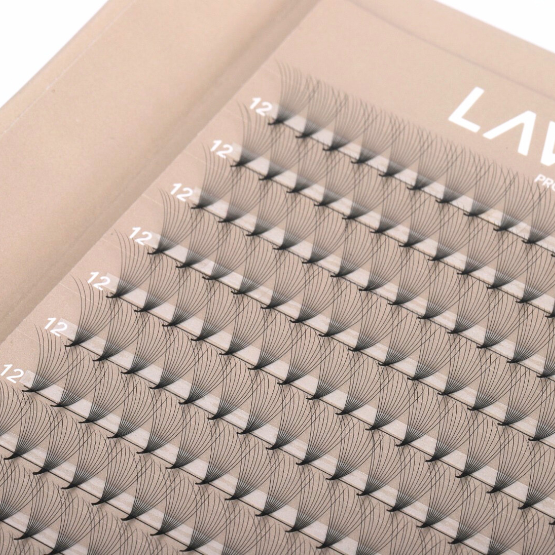 XXL 10D Promade Lashes (650 Fans)