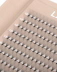 XXL 10D Promade Lashes (650 Fans)