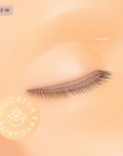 Mini Lash Training Mannequin Head With 3 Layer Lashes