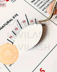 Reusable Lash Mapping Practice Sheet With Sponges
