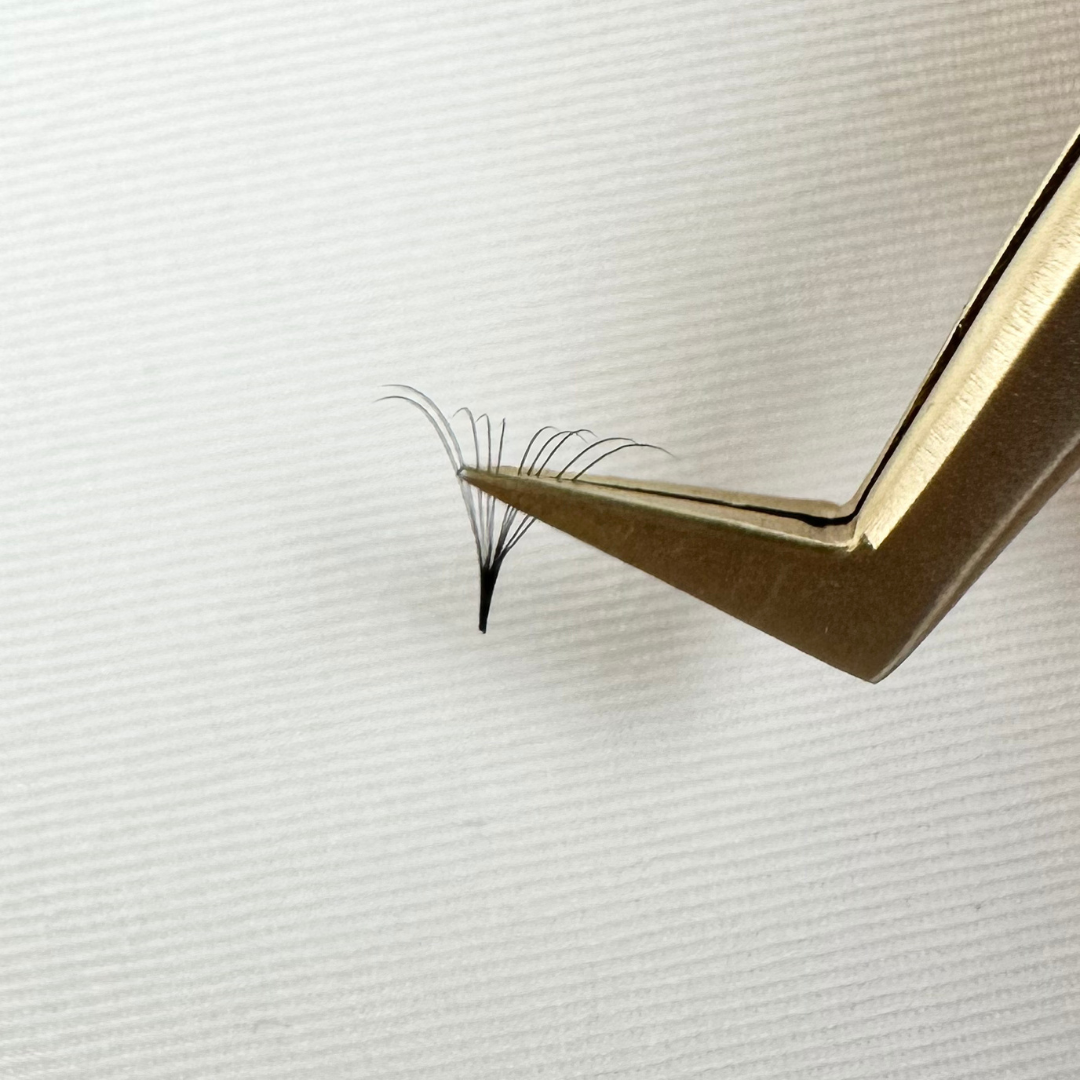 10D Promade Lash Extensions | Deep Black Finish with Feather Light Narrow Base