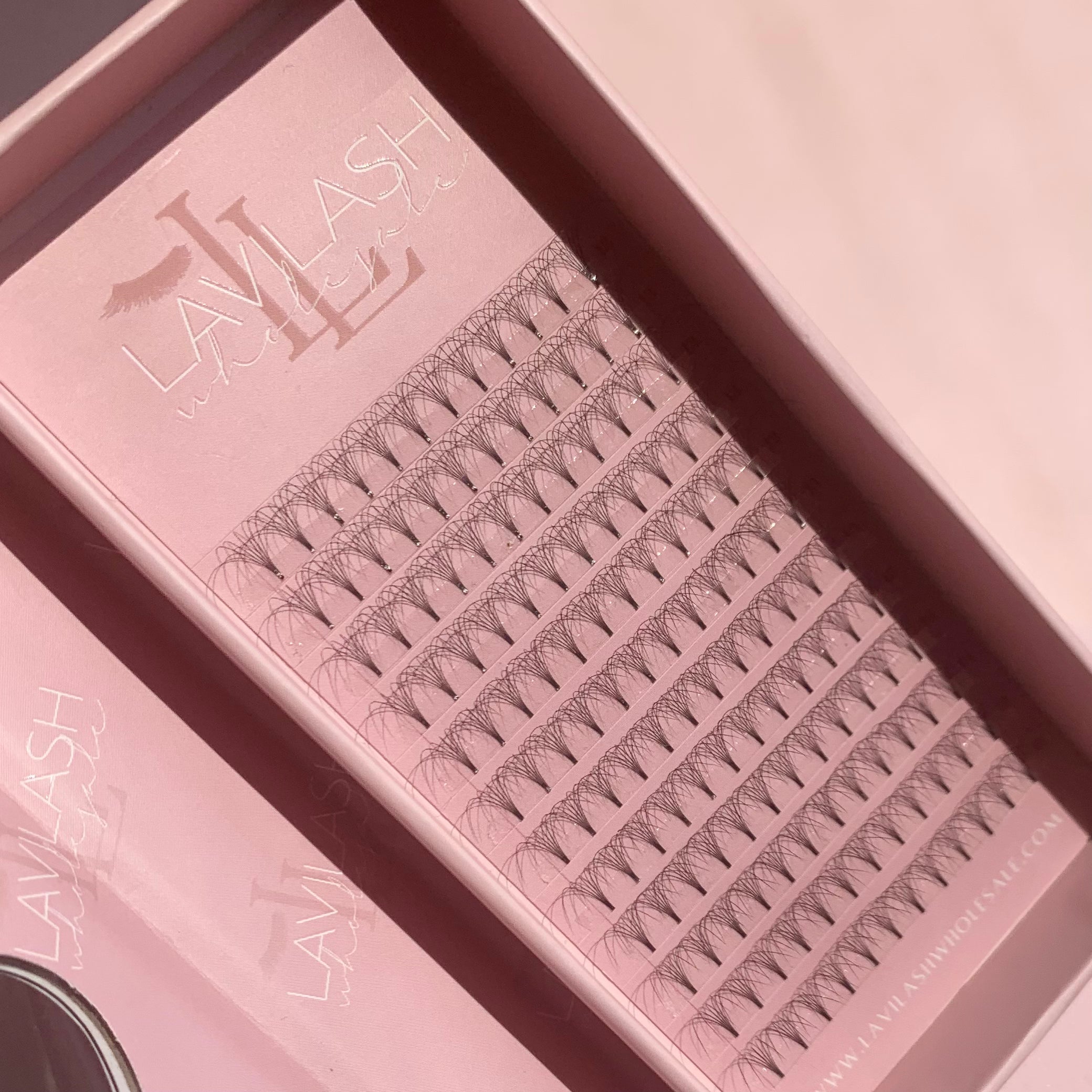 6d Premade Lash Extensions