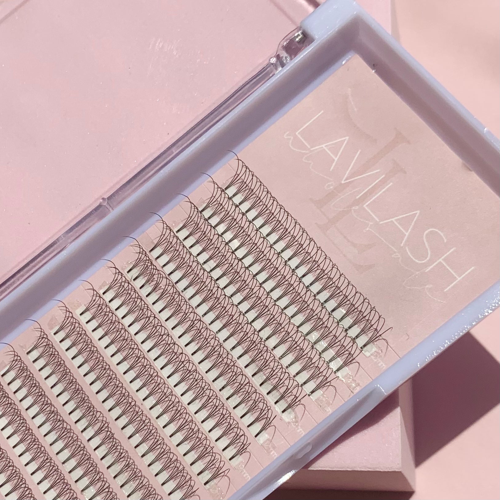 3D Premade Lashes in Acrylic Trays - LaviLash