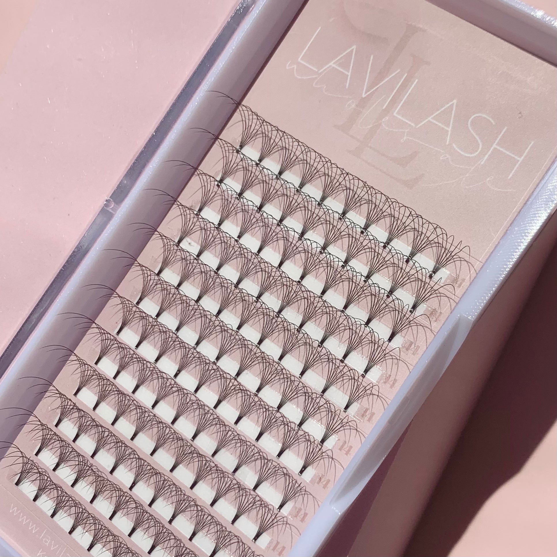 6D Eyelashes - Premade Volume Lashes for Maximum Drama