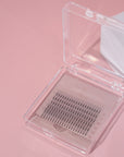 3D Premade Lashes | Acrylic Trays