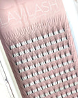 4D L Curl Premade Lashes | Acrylic Trays